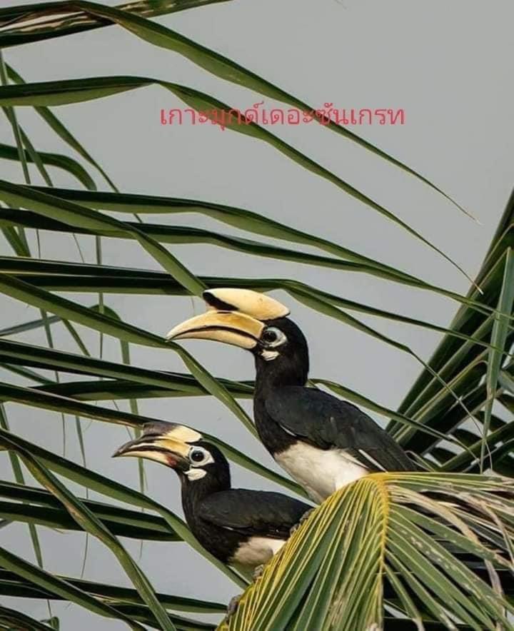 קו מוק Kohmook The Sun Great Resort מראה חיצוני תמונה